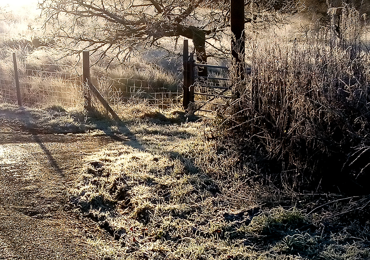frost covered field gate and path in early evening sunshine